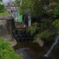 2782-3.jpg