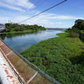 2783-1.jpg
