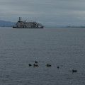 2785-3.jpg