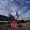 2787-1.jpg