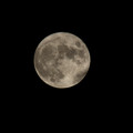 2787-3.jpg