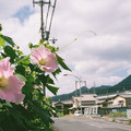 2793-1.jpg