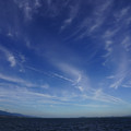 2793-3.jpg
