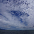 2798-1.jpg