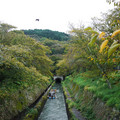 2800-1.jpg