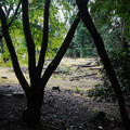2800-2.jpg
