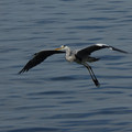 2804-1.jpg