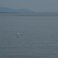 2804-2.jpg