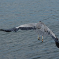 2806-3.jpg