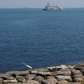 2808-3.jpg