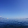 2809-1.jpg