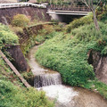 2811-2.jpg