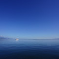 2821-1.jpg