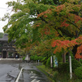 2824-2.jpg
