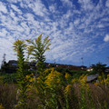 2828-2.jpg