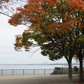 2834-1.jpg