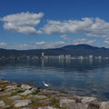 2835-1.jpg