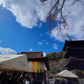 2836-1.jpg