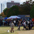 2837-2.jpg