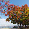 2837-3.jpg