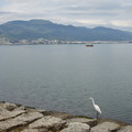 2838-2.jpg