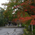 2839-2.jpg