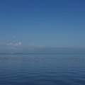 2841-3.jpg