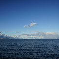 2842-1.jpg