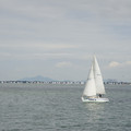 2843-1.jpg