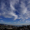 2845-1.jpg