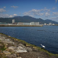 2846-1.jpg