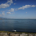 2846-2.jpg