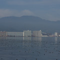 2848-1.jpg