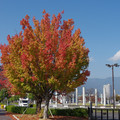 2848-2.jpg