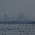 2849-1.jpg
