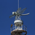 2849-2.jpg
