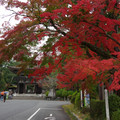 2851-3.jpg