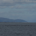 2852-1.jpg