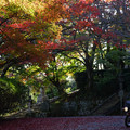 2853-1.jpg