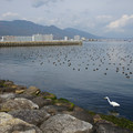 2855-1.jpg