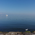 2856-1.jpg