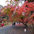 2858-1.jpg