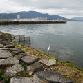 2858-2.jpg