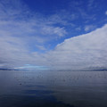 2859-1.jpg