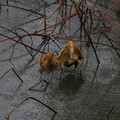 2861-3.jpg