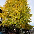 2862-1.jpg