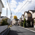 2865-1.jpg