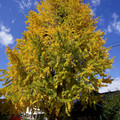 2865-2.jpg