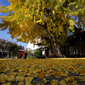 2865-3.jpg