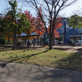 2866-2.jpg